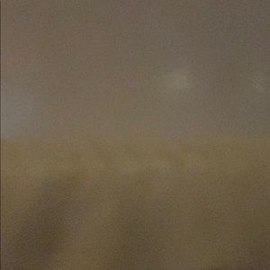 Meet your Posher, Evelyn